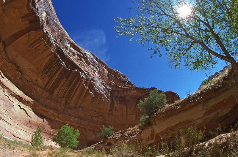 1996-04 Utah Trip 62 Horse Shoe Canyon.jpg